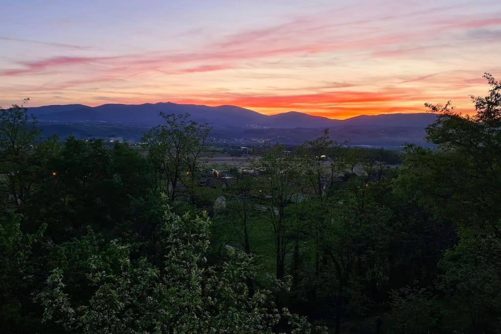 Gite De 70M² Avec Vue Sur Le Massif Du Pilat Clonas-sur-Vareze Exterior photo