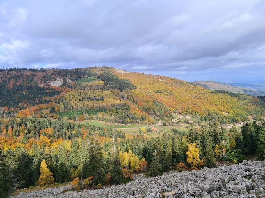Gite De 70M² Avec Vue Sur Le Massif Du Pilat Clonas-sur-Vareze Exterior photo