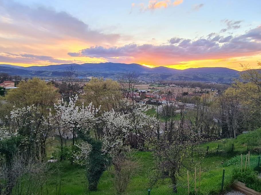 Gite De 70M² Avec Vue Sur Le Massif Du Pilat Clonas-sur-Vareze Exterior photo