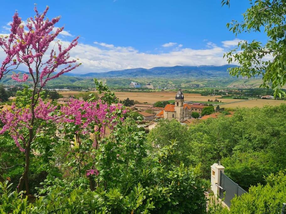 Gite De 70M² Avec Vue Sur Le Massif Du Pilat Clonas-sur-Vareze Exterior photo